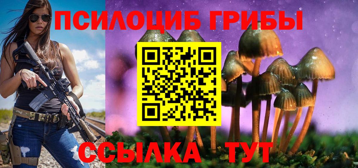 Зеленогорск  Галлюциногенные грибы прущие грибы  Псилоцибиновые грибы ЛСД  Вход с VPN 